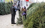 Стало известно, сколько киевляне заплатят за новогоднюю елку