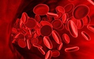 Ученые придумали, как сделать группы крови совместимыми