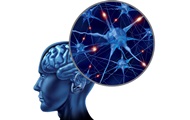 Возрастное слабоумие возникает из-за уникальных способностей мозга - ученые