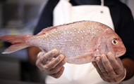 Диетологи опровергли пользу рыбьего жира