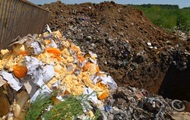 В РФ отчитались о первой неделе уничтожения продуктов