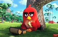     "Angry Birds  "