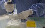 Четыре случая заболевания вирусом Зика зафиксированы в Великобритании
