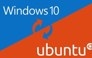 Microsoft  Windows 10.  Linux