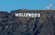  Hollywood  -   Hollyweed