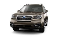   Forester   : 100-  FHI  20- 
