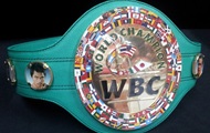   WBC:      