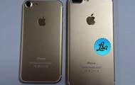      iPhone 7  7 Plus